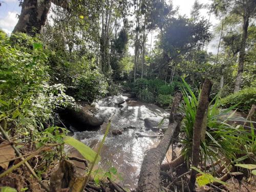 Nature Stay - Private Water Stream an Pool