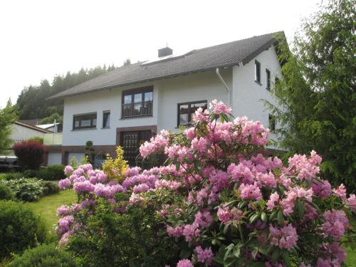 Ferienwohnung-Lind - Apartment - Wimbach