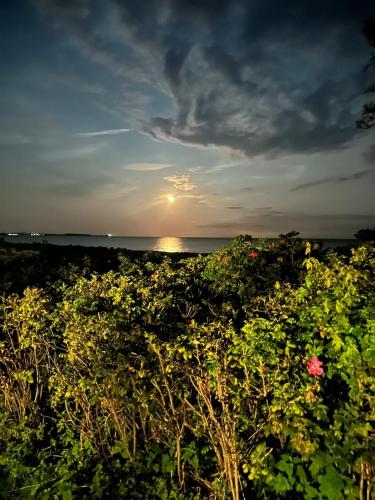 Surrounding environment, Camping Inselauszeit am Meer in Wulfen