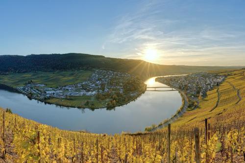 Flussbett - Appartement an der Mosel