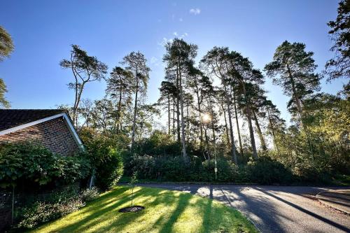 花園, Soho House in Bordon in 波爾頓