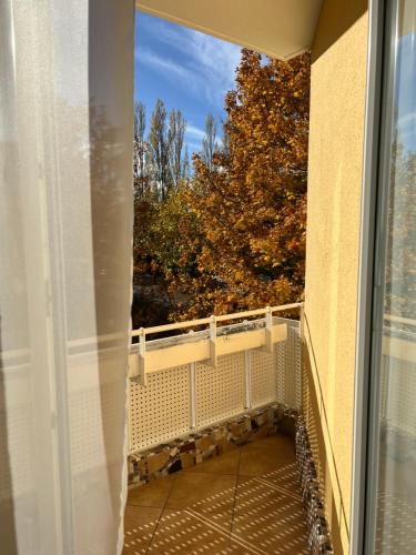 Privatzimmer 15 m² mit SW Balkon