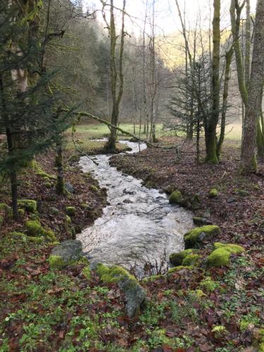 Domaine La Bonne Dame - Hirondelle, au coeur des Vosges