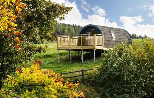 B&B Newtonmore - Spectacular Mountain View Ecopod - Bed and Breakfast Newtonmore