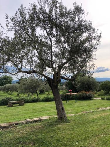  Agriturismo La Posta Reale in Castiglion Fibocchi