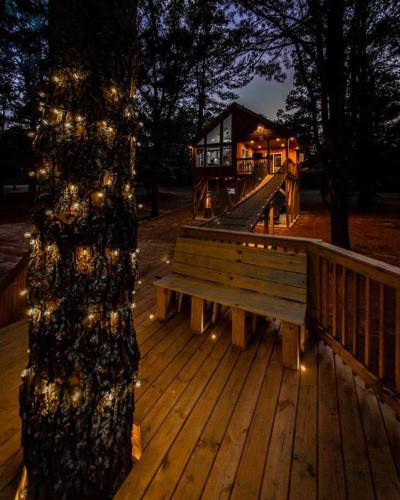 Romantic getaway in the treetops