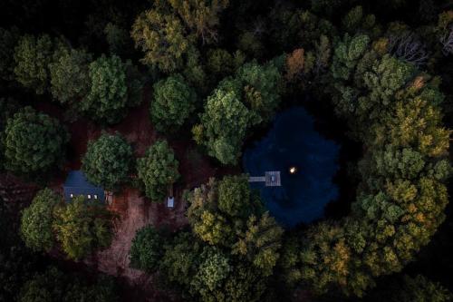 Romantic getaway in the treetops