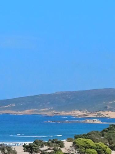 Skats, Caslune in Nefza