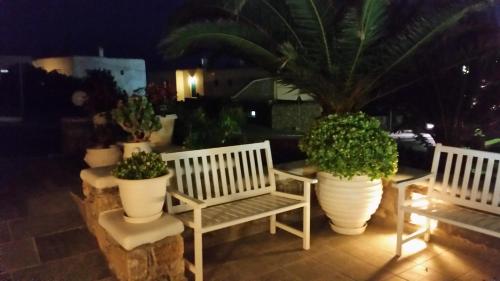 Anixi Hotel - image 8
