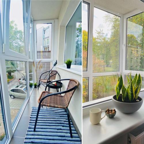 Alyvų tako studija (Alyvu tako studija) in 阿利圖斯