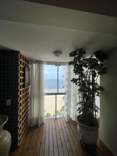 Apartamento 50 mts Praia Balneário Camboriú