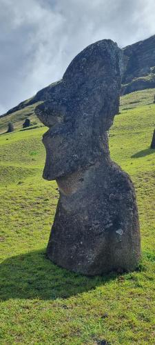 Cabañas Henua Roa