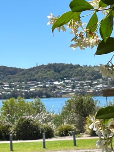 By the Lake - Lake Macquarie