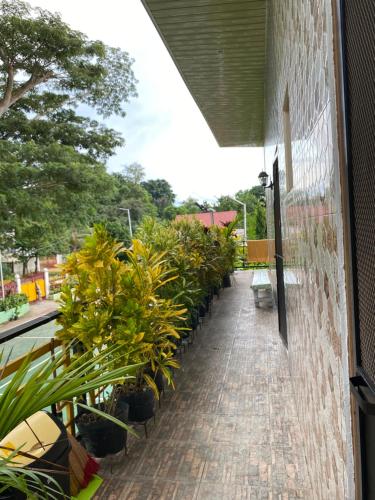 Balcony/terrace, Studio Type Apartment 2 with Pool and Tennis Court in Alburquerque
