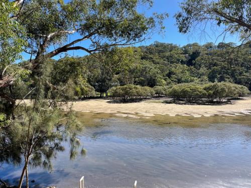 Garden, River Retreat in Sutherland Shire