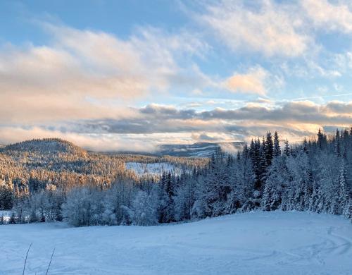 Pogled, Huso Mountain Lodge - Hemsedal in Hemsedal