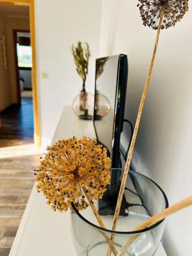 設施, Ruhe und Natur pur im Spreewald. in 闊克威茲