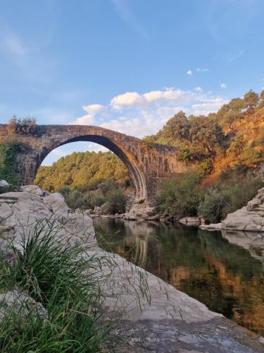 Hosteria Las Palmeras Casa Colonial - image 6