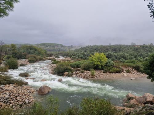 Hosteria Las Palmeras Casa Colonial - image 7