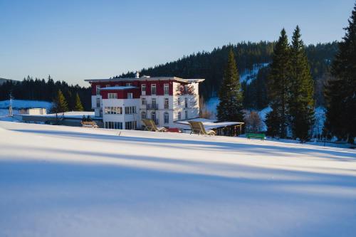 Das Waldhotel - Genuss & Wellness am Notschreipass