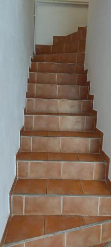 Complex Adela Transfăgărășan