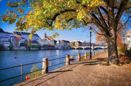 Schweiz (302), Basel (photo 7)