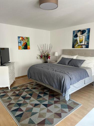 Schweiz (303), Basilea
