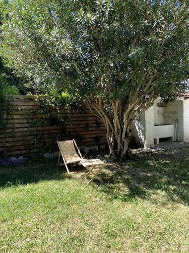 Maison de caractère avec jardin arboré en Avignon