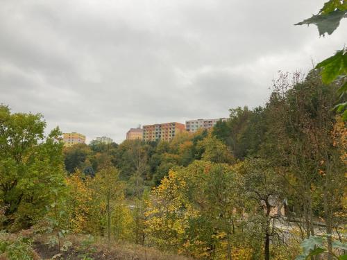 U KOSMONAUTA in Malá Veleň