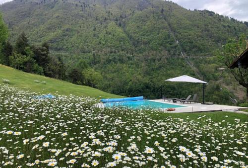 AL CASTAGNO photo 1