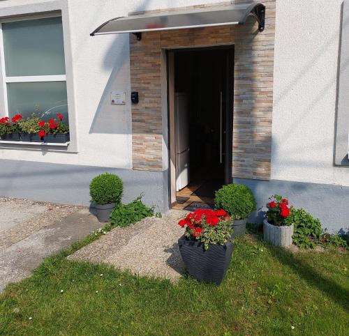 Wandorf in โซปรอนบันฟัลวา