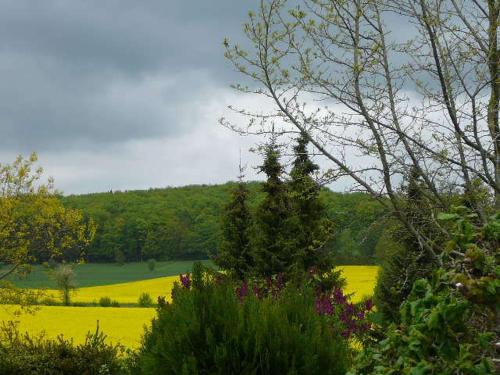 德瑞塔内酒店 德瑞塔内酒店