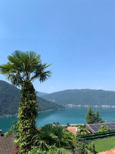  Casa Belvedere Pacific in Rovio