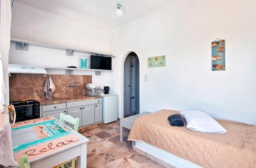  New Aurora Apts Studios in Ferma