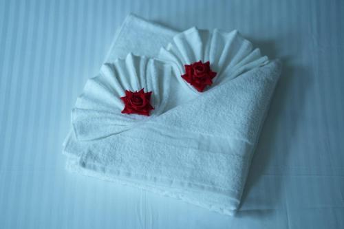 Magni Home - image 4