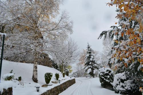  Apartaments la Peguera in Bohí