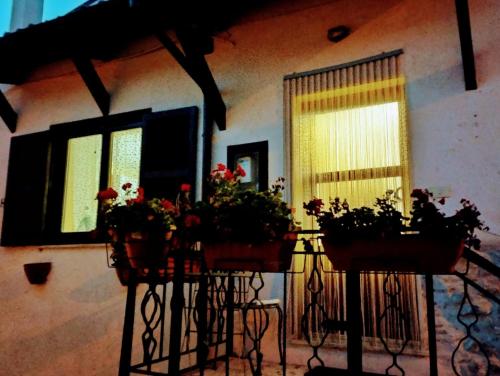 Casa Hemingway - Casa Vacanza in Barisciano