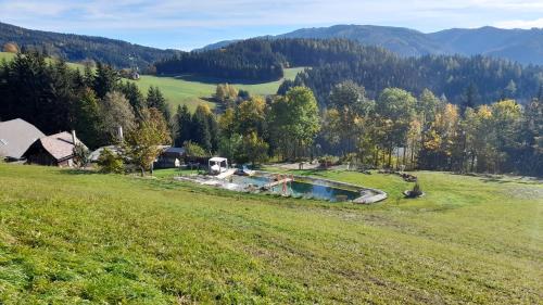 Ferienhaus Pliescherhof