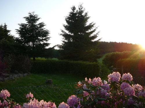 德瑞塔内酒店 德瑞塔内酒店