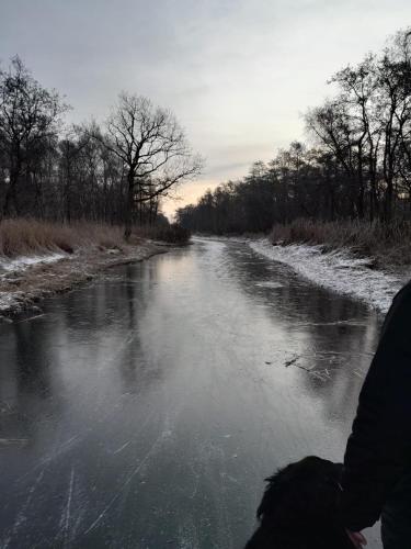 Huisje op de dijk