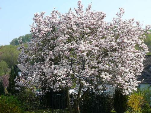 德瑞塔内酒店 德瑞塔内酒店