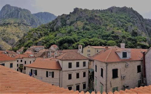 Biuk, Kotor