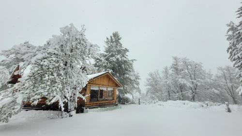 Hosteria Villarino - Photo 3 in Villa Lago Meliquina, Argentina