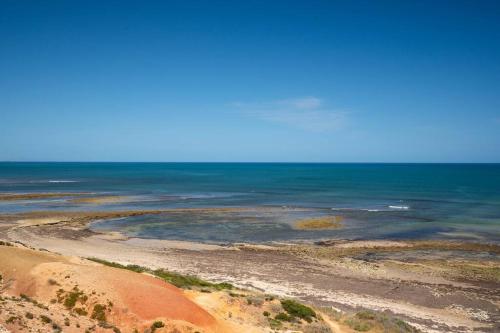 Driftwood Port Noarlunga South