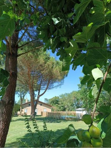 Gîte d'En Lébé gîte à louer Escorneboeuf