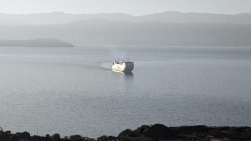Harbour Lodge Wellington - image 2