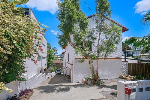 Tropical Dreaming in the Heart of Indooroopilly