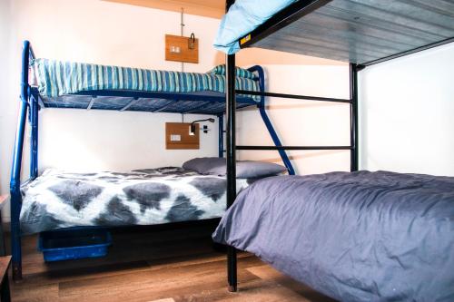 Mad Monkey Hostel Coogee Beach