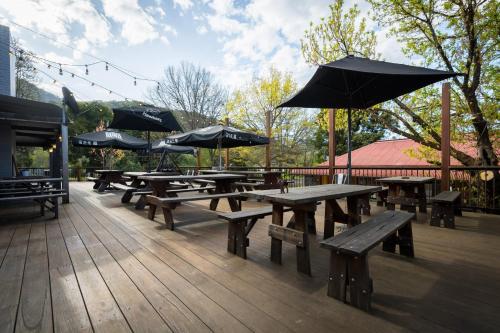 The Harrietville Snowline Hotel