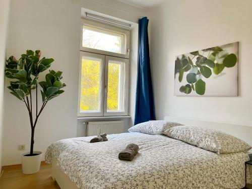  Spacious Apartment - 15 min to Center in Wien